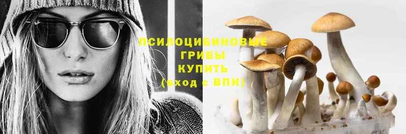 hydra как зайти  Муравленко  Псилоцибиновые грибы Psilocybe 